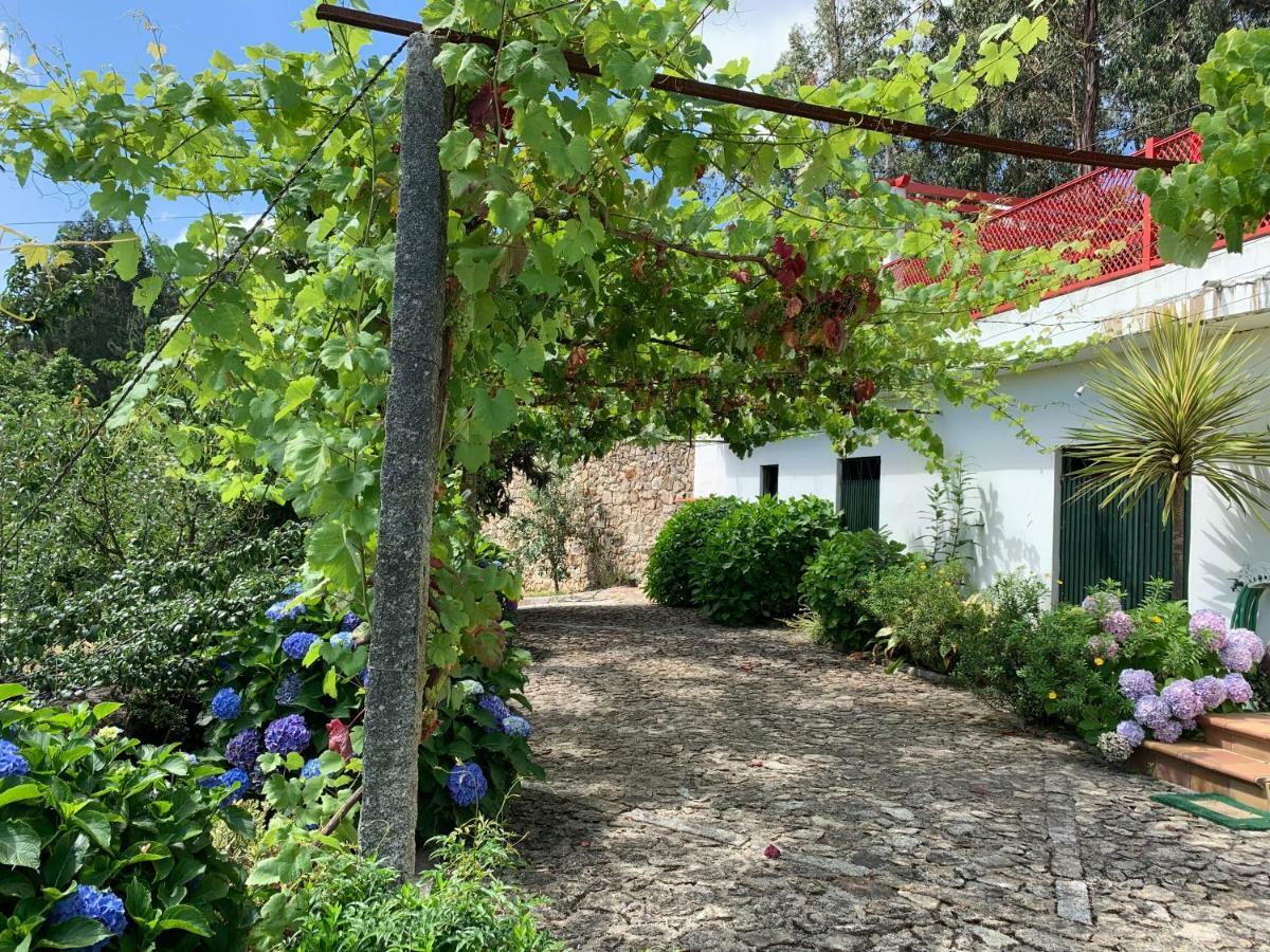Vila Aurora Parada de Gatim Exterior foto